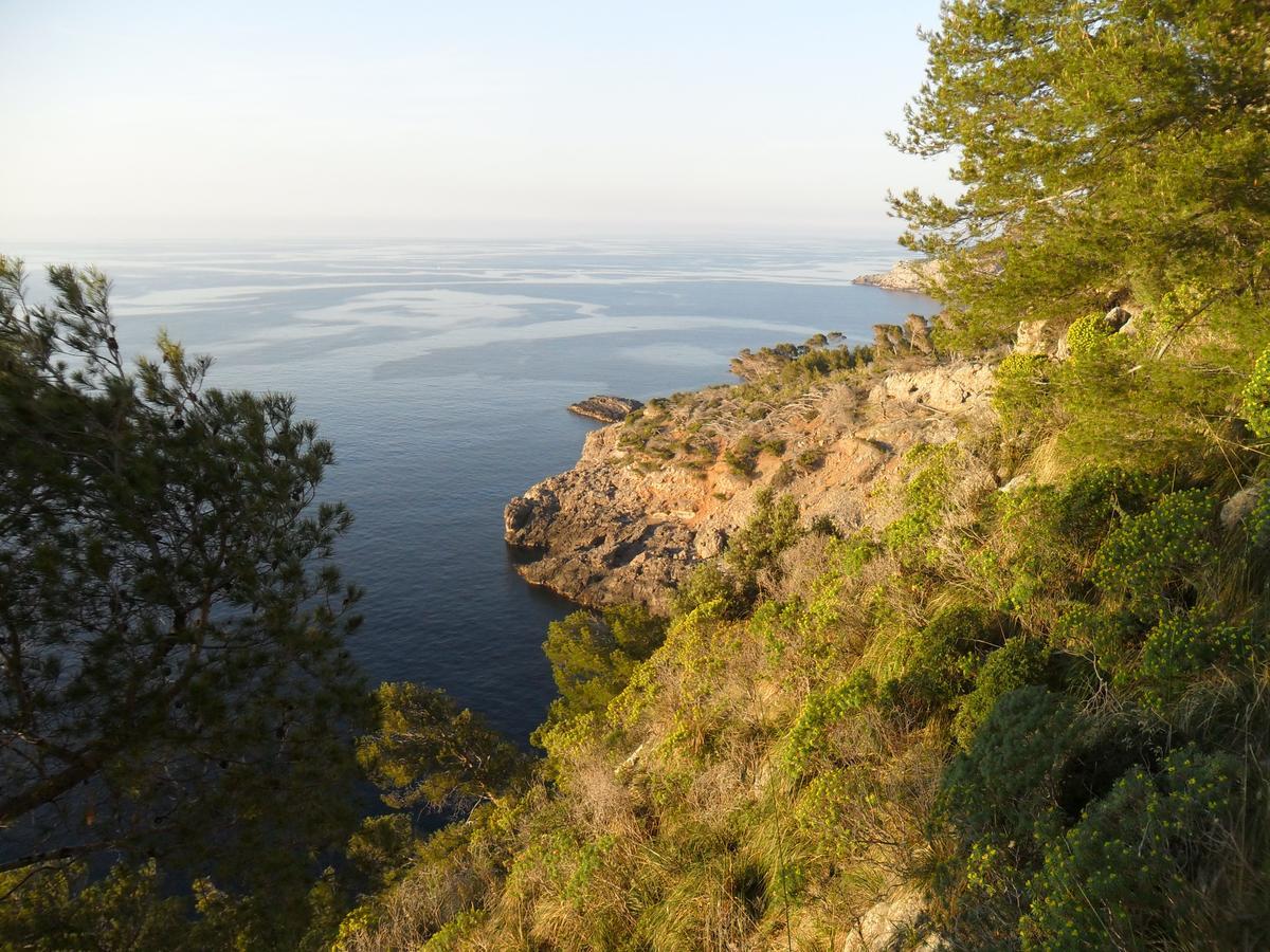 Puerto de Sóller Sol Port Soller酒店 外观 照片